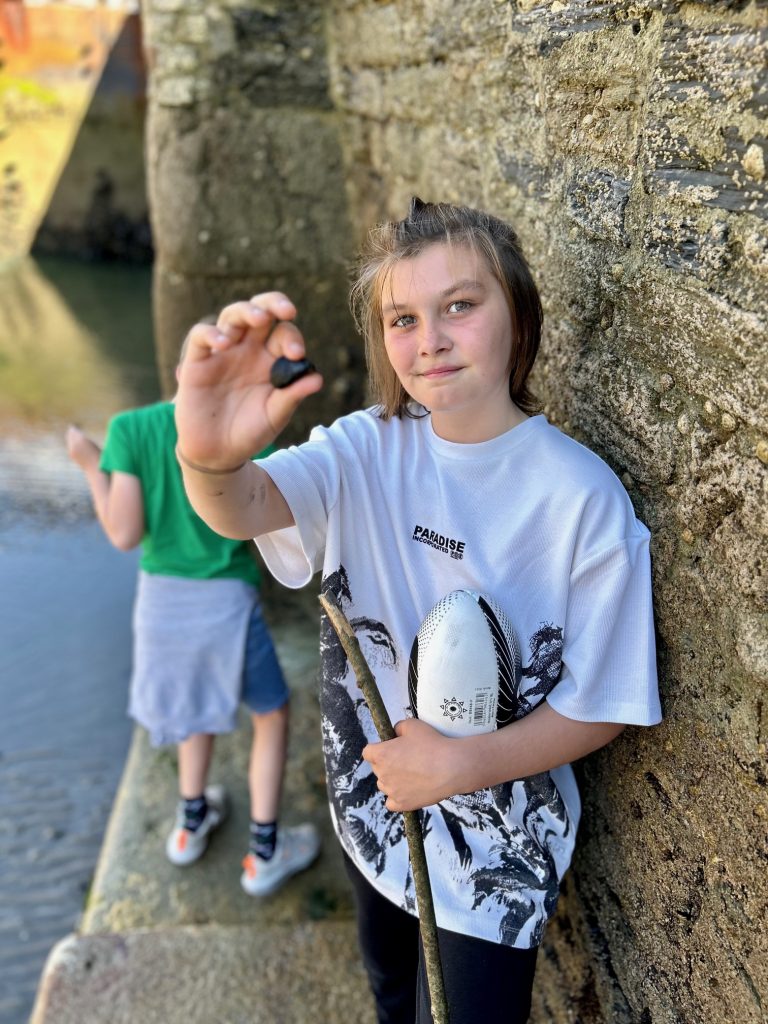 mussels from charlestown harbour, cornwall