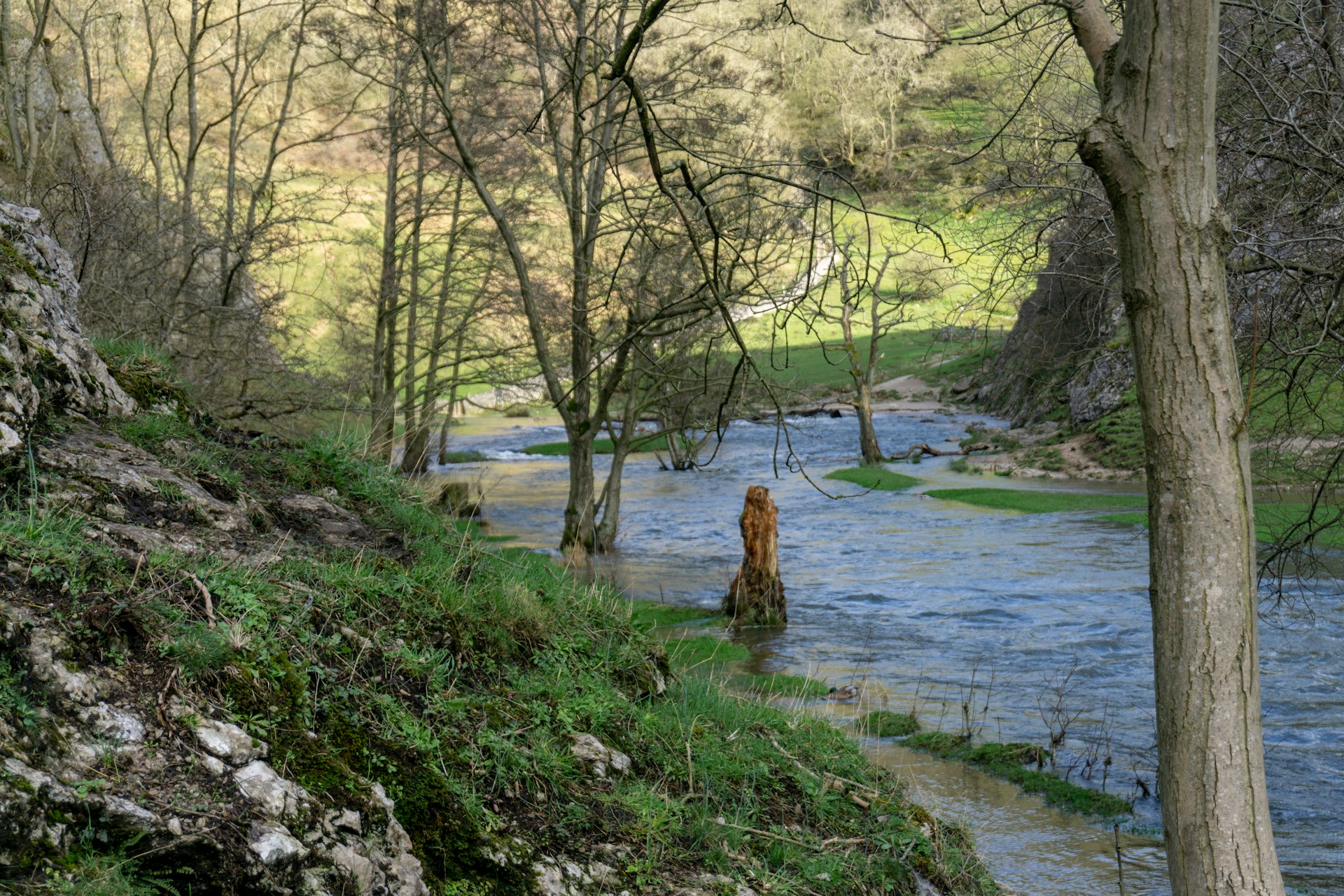 Thorpe Cloud to Dovedale Caves; Solo Hiking in Peak District